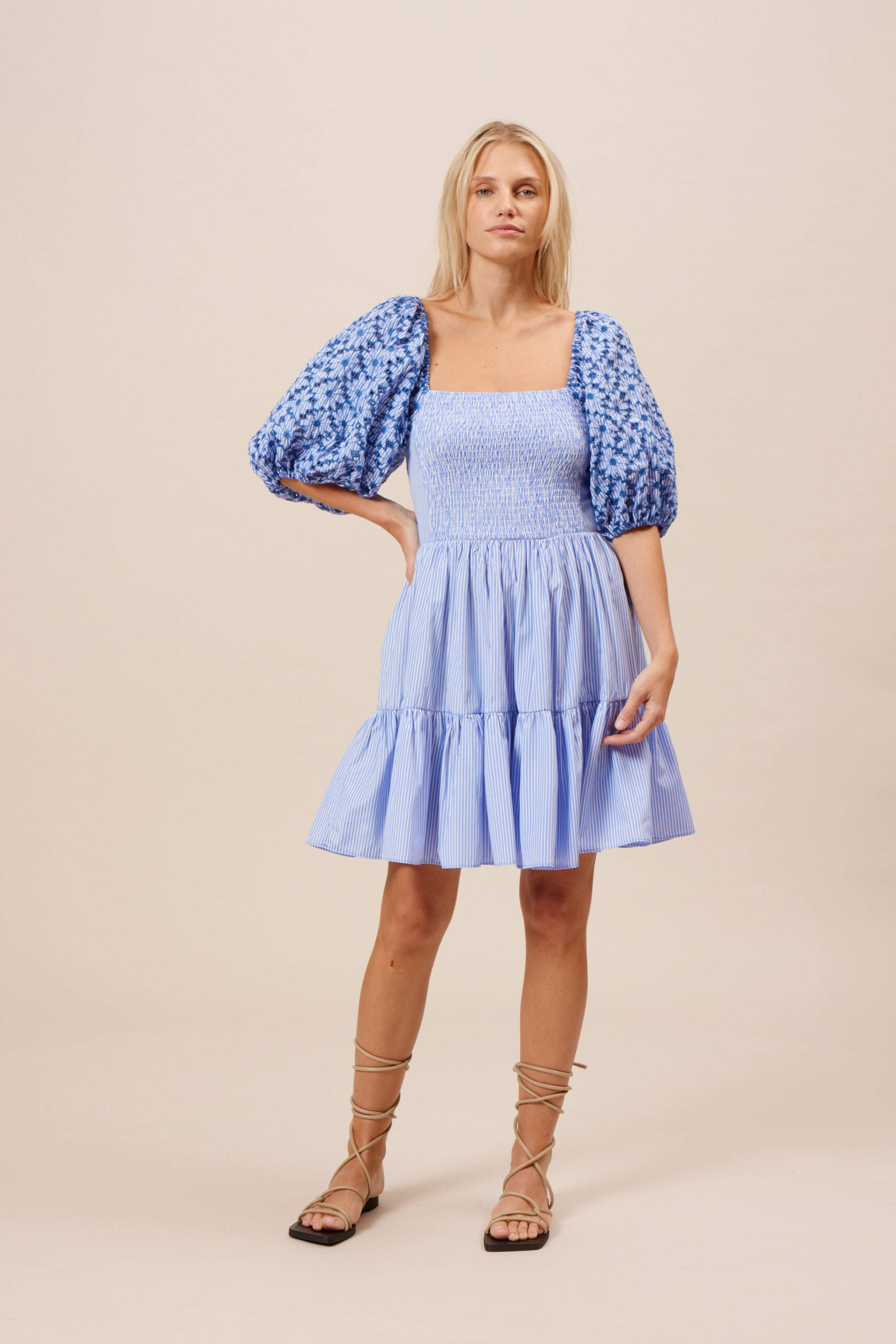 Skya Embroidered Dress
