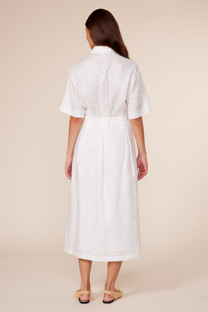 Eleanor Pleated Dress