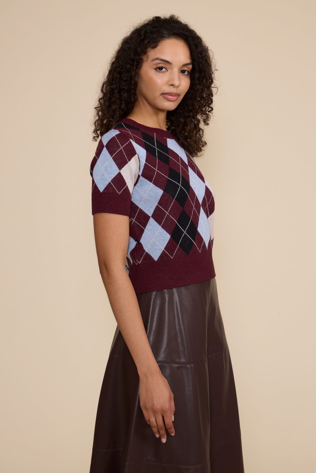 Bria Argyle Knit Top - Burgundy Multi