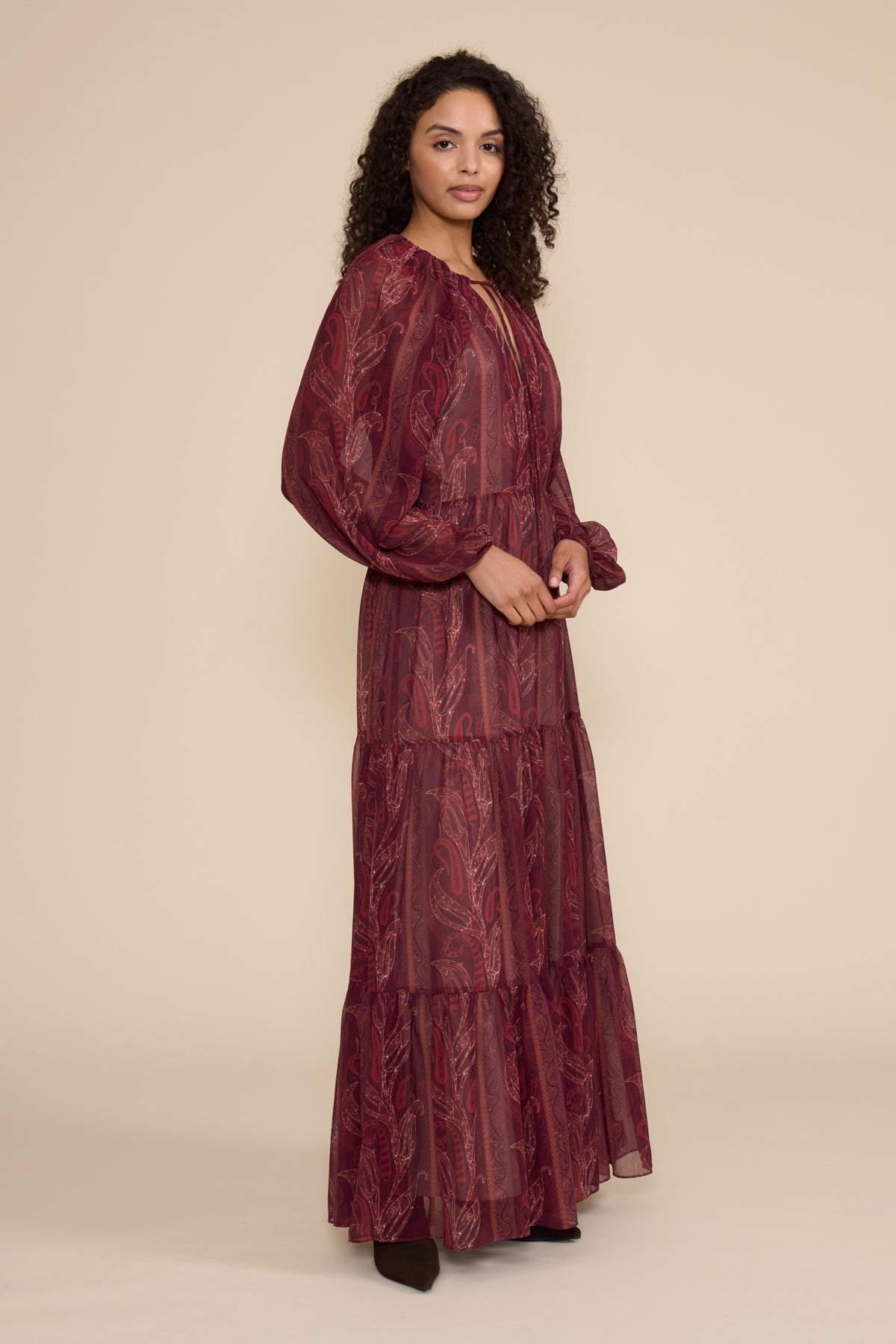 Alessandra Maxi Dress - Burgundy Multi