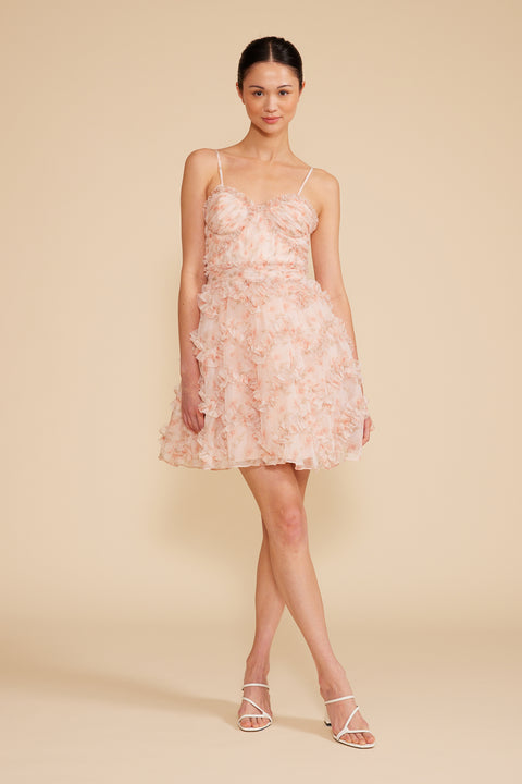 prairie rose clip mini dress Lucy Paris - Lilian Mini Dress